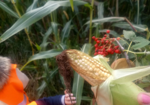dzieci oglądają kukurydzę